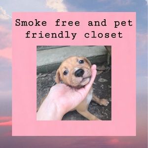 Smoke Free And Pet Friendly
